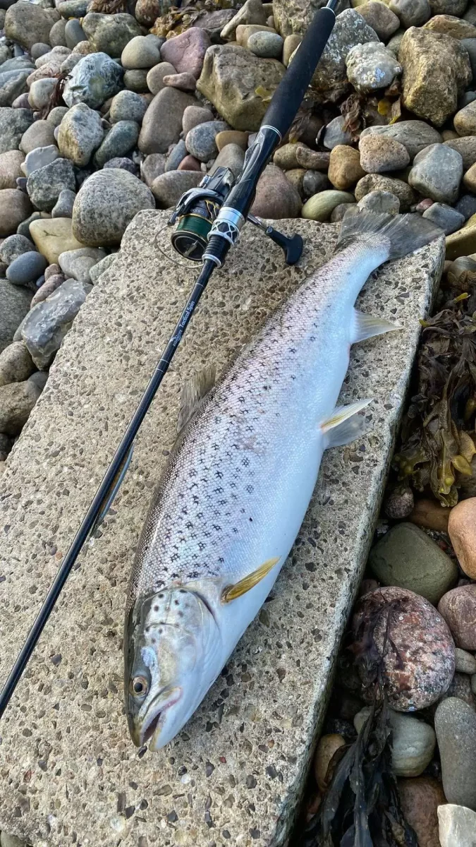 Fishnote Tactical Spin 8′ - Billede 4