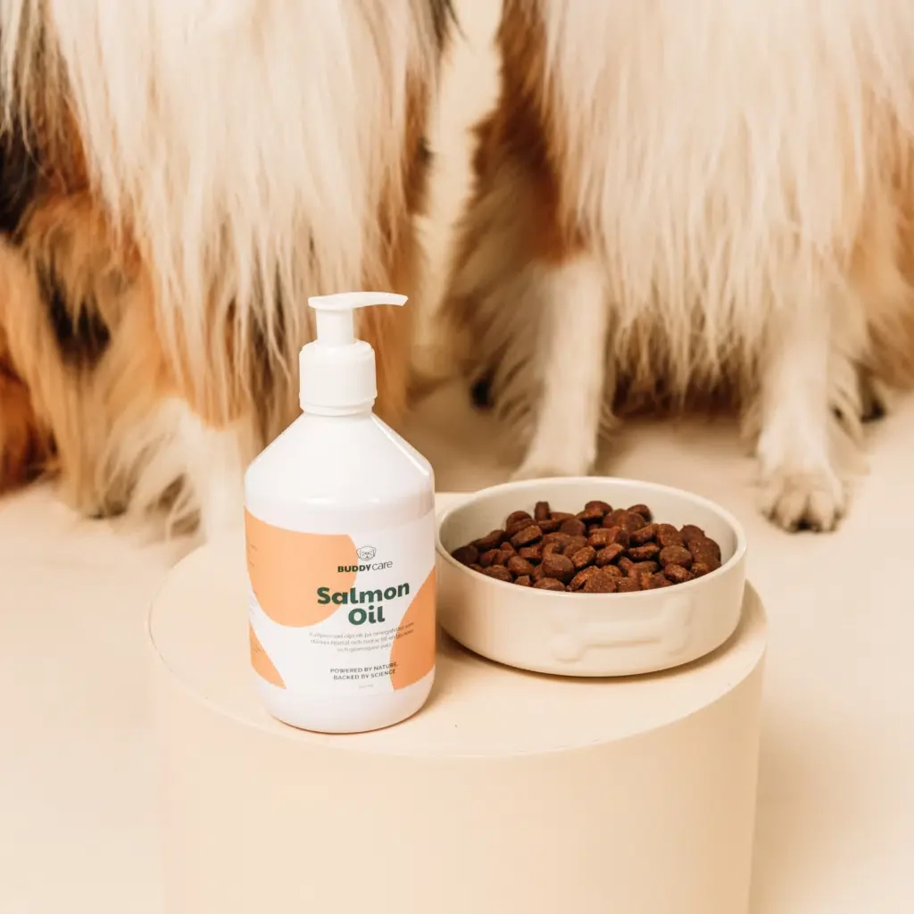 Buddycare Salmon Oil - Billede 4